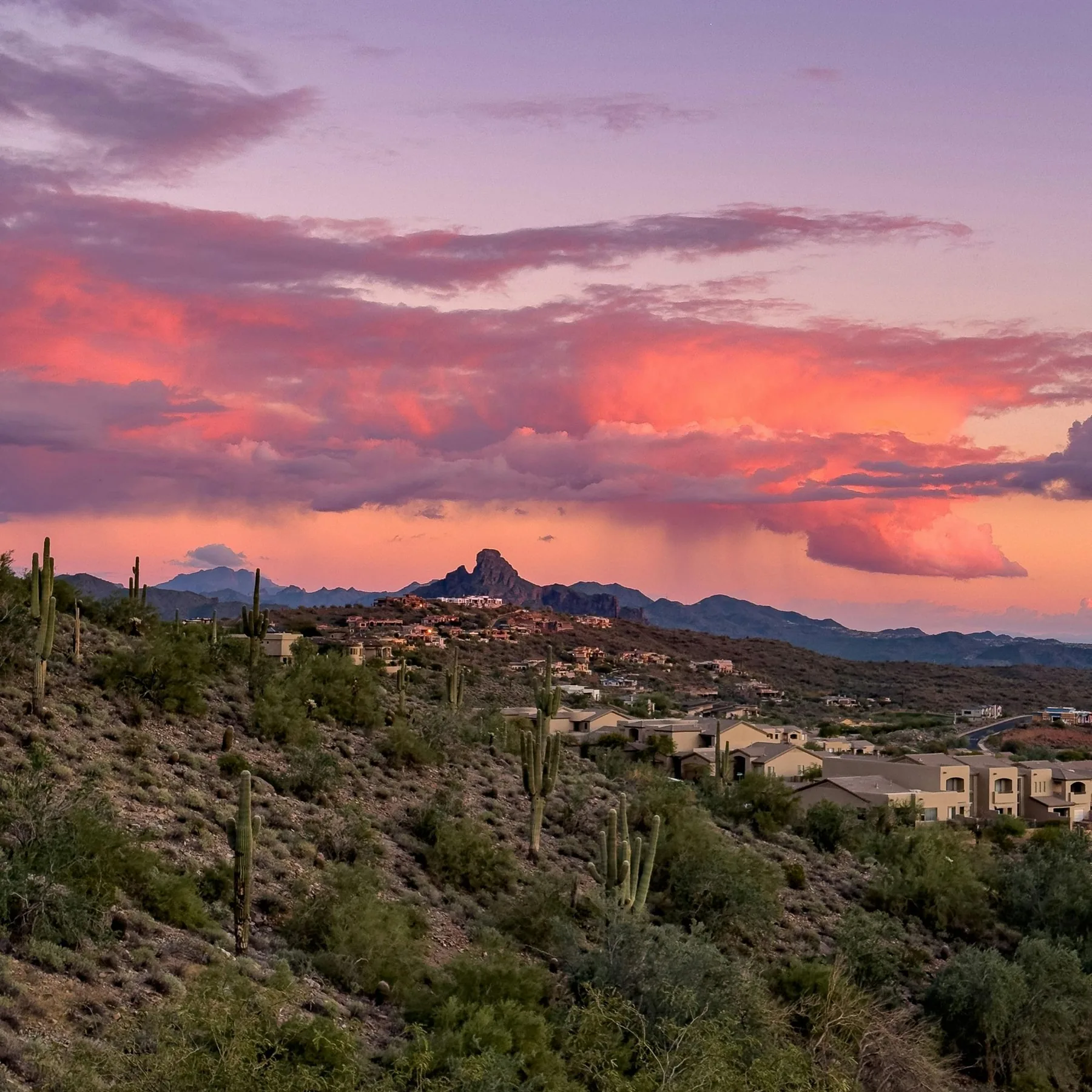 Arizona desert at sunset with saguaro cacti and a glowing sky